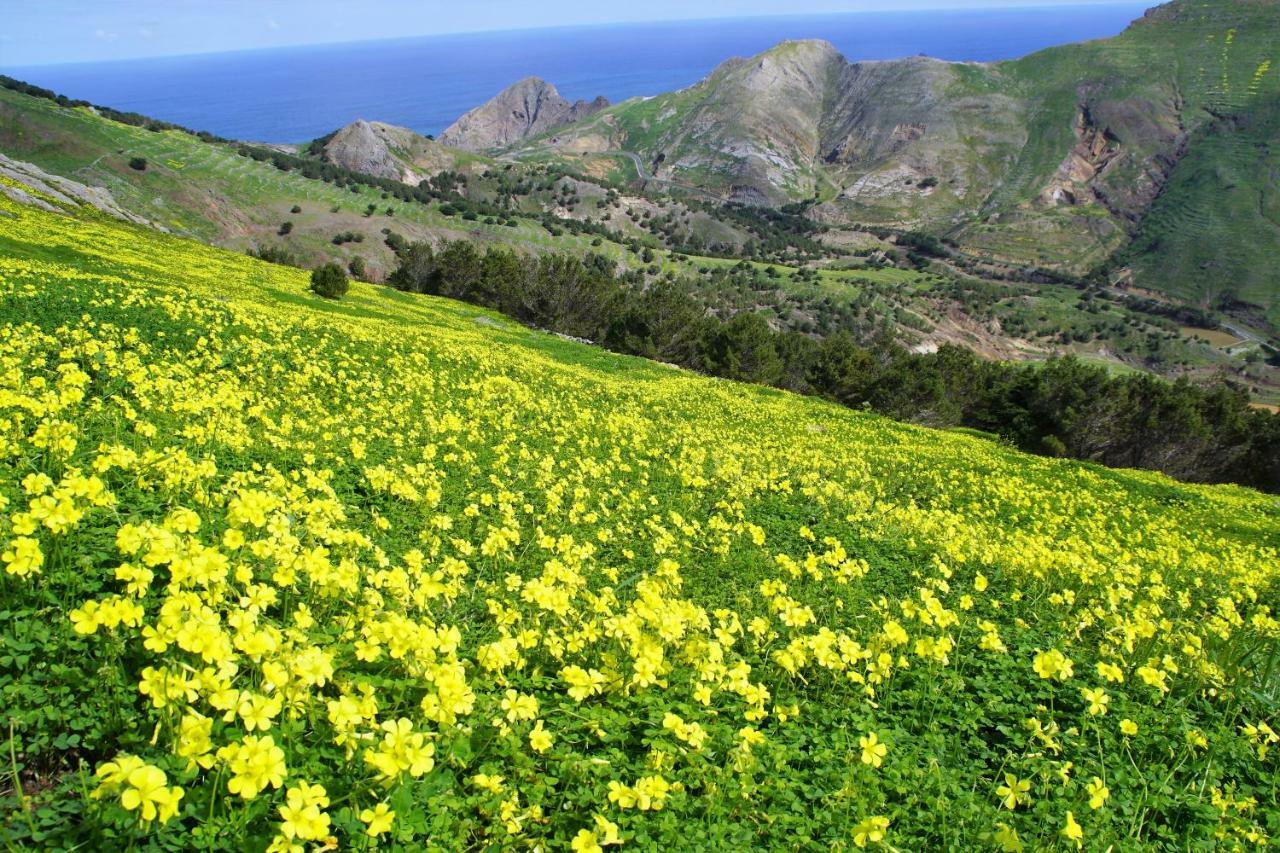 Porto Santo - Pedras Pretas Beach House Bagian luar foto